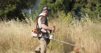 δηλώσεις καθαρισμού οικοπέδων