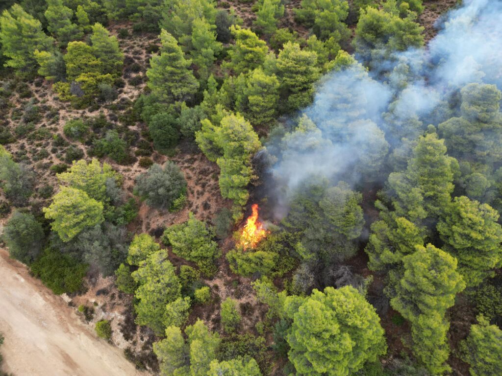 Νεμέα: Φωτιά από κεραυνό στον Προφήτη Ηλία