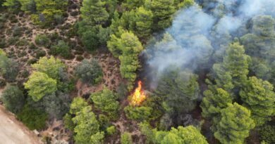 Νεμέα: Φωτιά από κεραυνό στον Προφήτη Ηλία