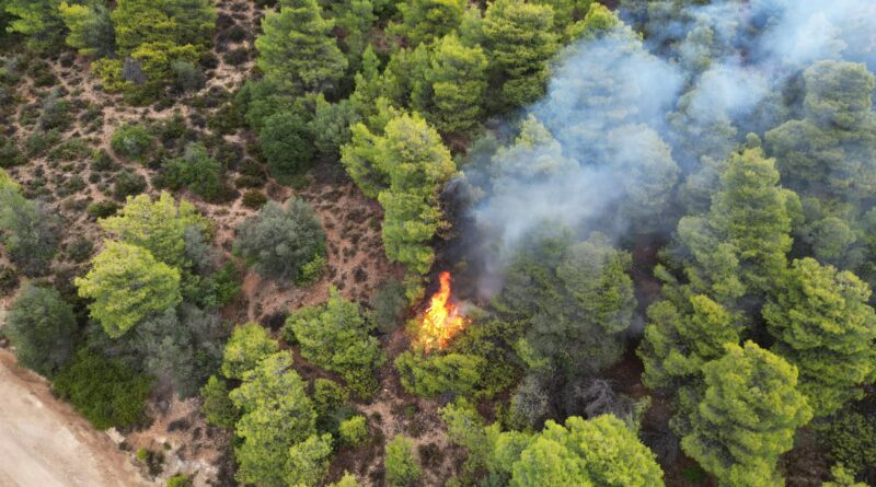 Νεμέα: Φωτιά από κεραυνό στον Προφήτη Ηλία