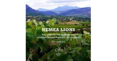 NEMEA LIONS