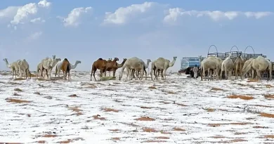 Χιόνισε στη Σαουδική Αραβία