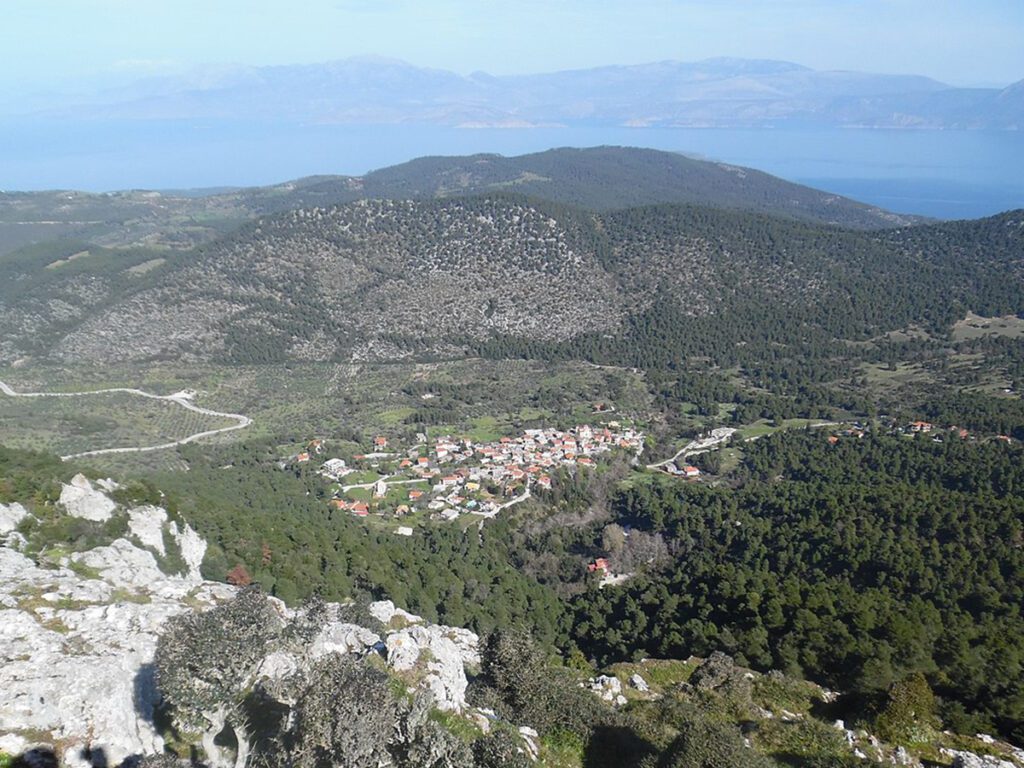 Επανεμφάνιση του λύκου στην Πελοπόννησο-Συνεδρίαση για μέτρα διαχείρισης και προστασίας με πρωτοβουλία της Περιφέρειας